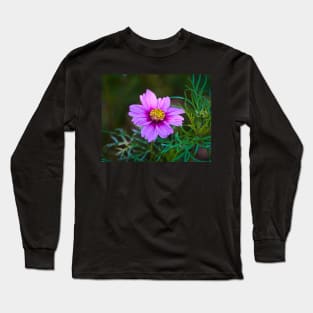 Daisy Marguerite Macro - Magenta Flower With Dark Green Foliage Long Sleeve T-Shirt